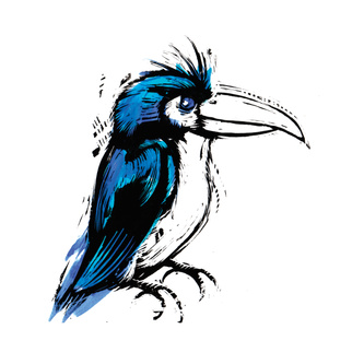 A Blue Bird