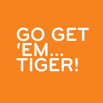go get em