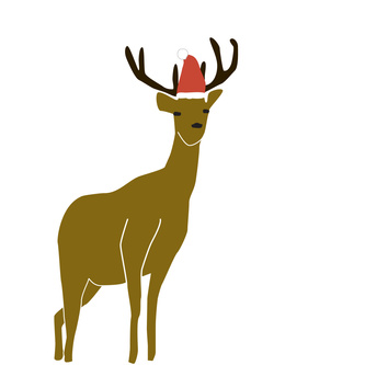 Deer