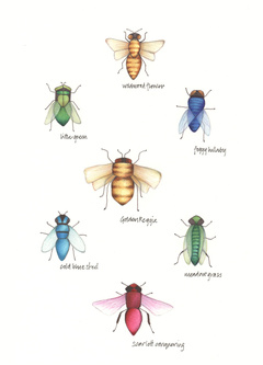 Buggles