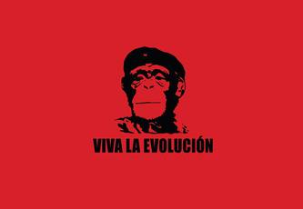 Viva La Evoluci