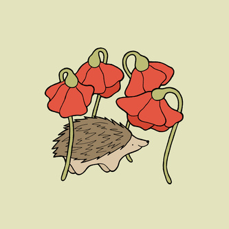 Hedgehog
