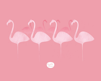 flamencos 