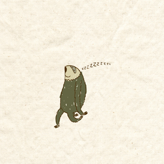 sloth walking