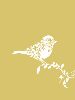 lil goldy bird