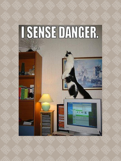I sense danger