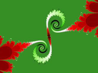 curly q 20