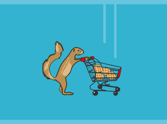 Squirrel Shop
