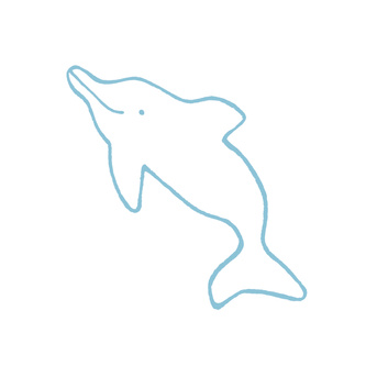 Dolphin 1