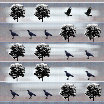 crow pattern pink