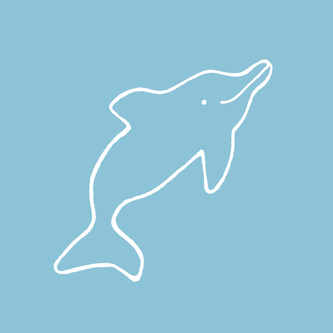 Dolphin 2