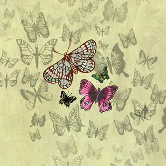 Inkymole Butterflies