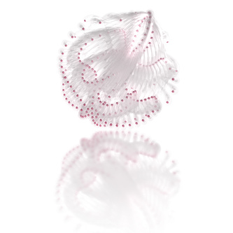 the enraptured cranberry jellyfish of tokyo