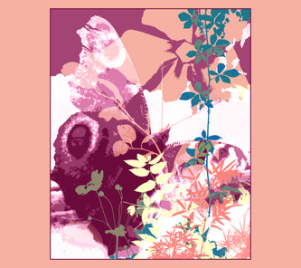 moo butterfly 01