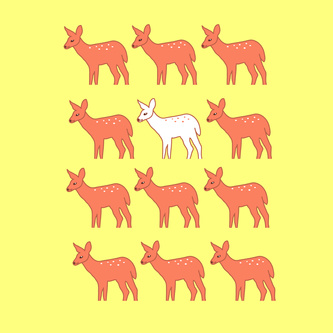 Deer