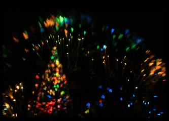 lensbabytree