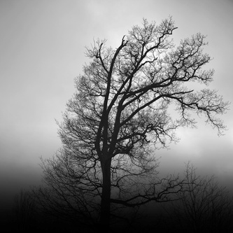 _MG_3118.jpg