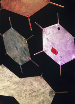 Crick and Watsons' Model