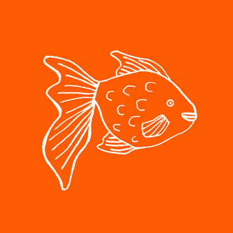 Goldfish 2