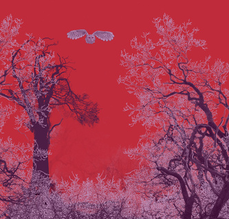 4corner trees red