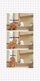 I'm poopin