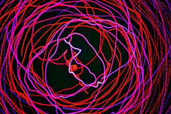 Pink Spin