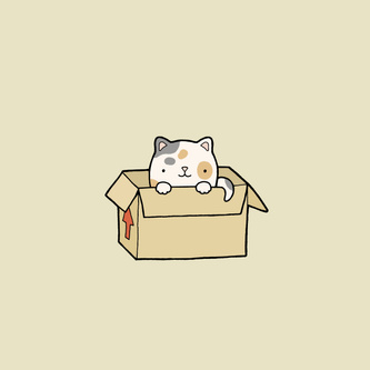 cat in a box 