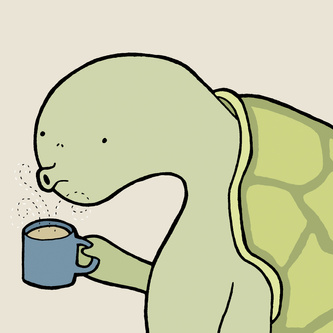 Tortoise
