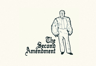 The Second Amendment