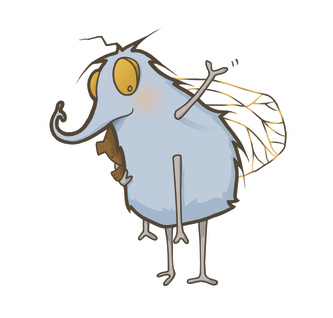 a fly story