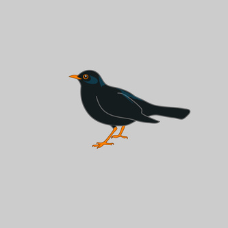 Blackbird