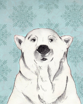 snow bear