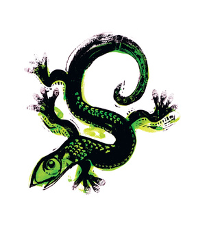 Lizard
