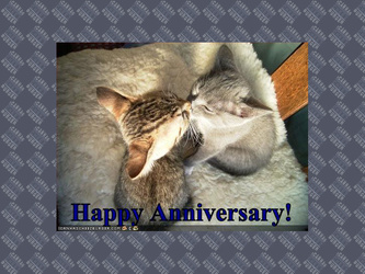 happy anniversary
