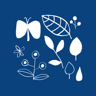 Blue Butterfly 2