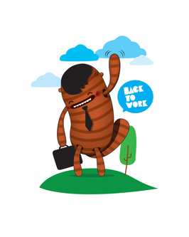 beaver 