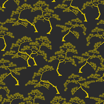 Bonzai 03