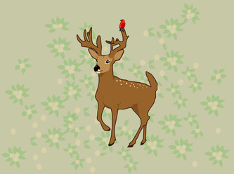 Deery
