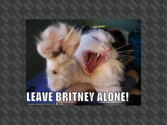 leave Britney alone