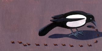 Magpie Counts
