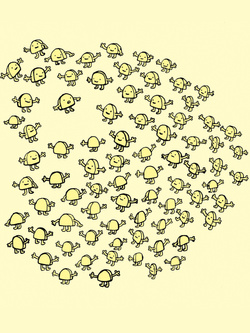 Crowd Of Corn