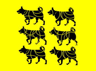 Dogs