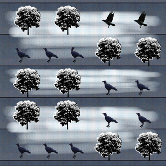 crow pattern black