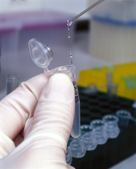 DNA Solution
