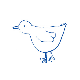 Blue Bird 