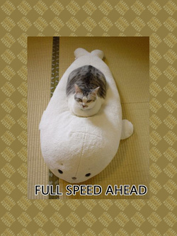 full speed ahead