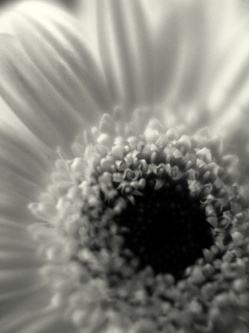 scan_644.jpg