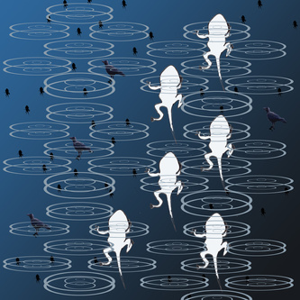 tadpole pattern1