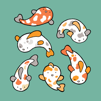 Koi