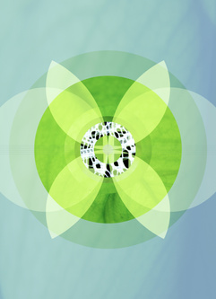 1096-2.jpg